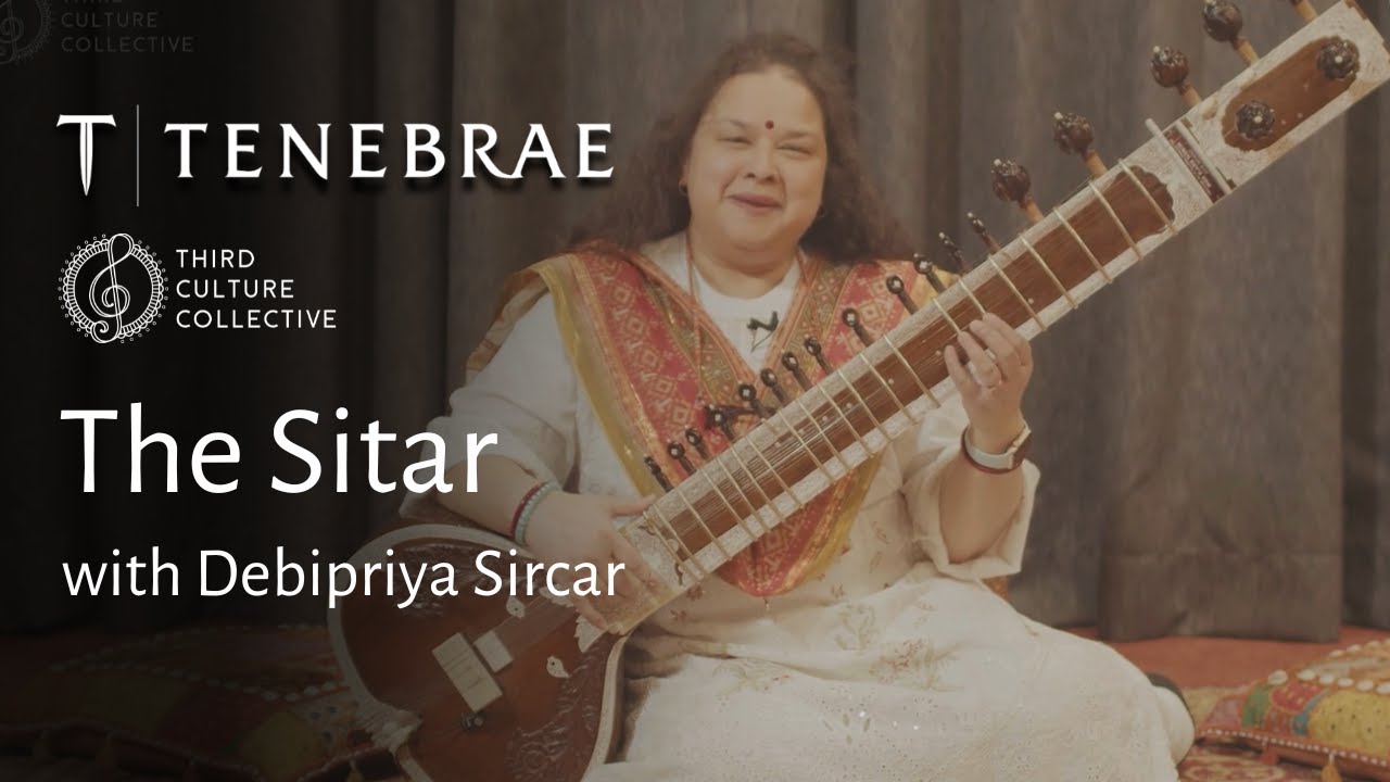 Debi - The Sitar